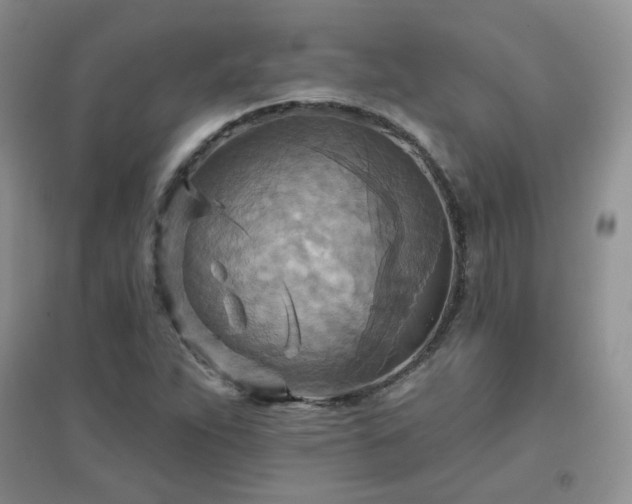 X0000096971263200802081244