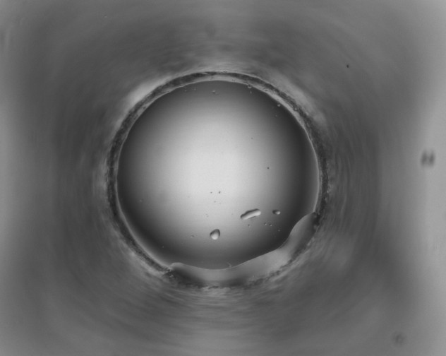 X0000096971264200802081244