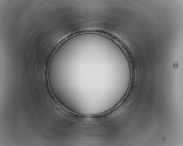 X0000096971265200802081244