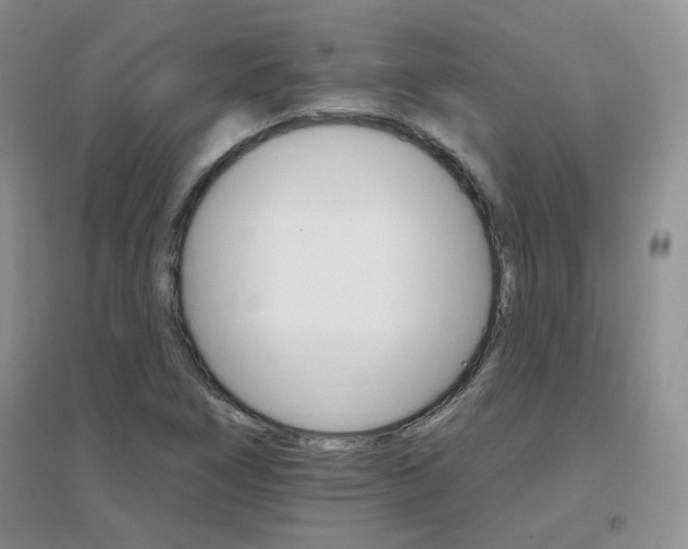 X0000096971266200802081244