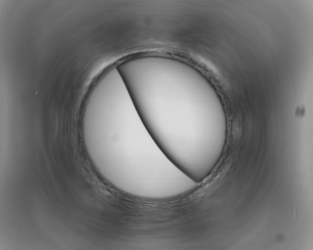 X0000096971267200802081244