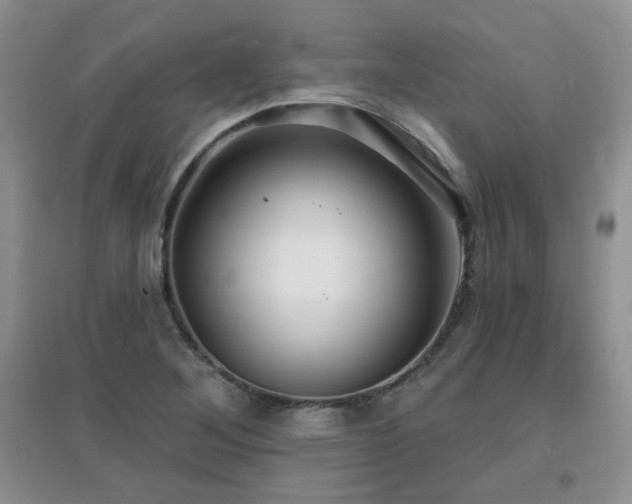 X0000096971268200802081244