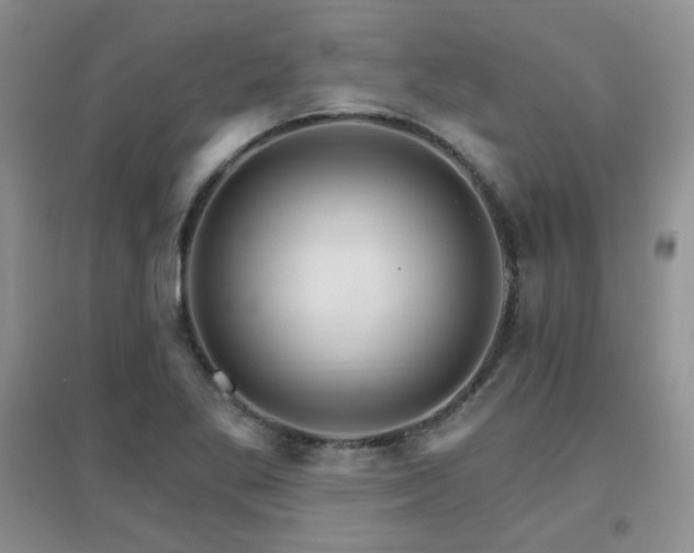 X0000096971269200802081244