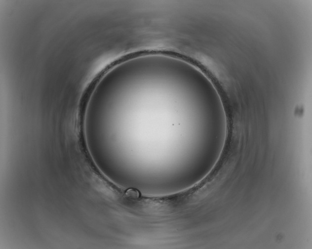 X0000096971270200802081244