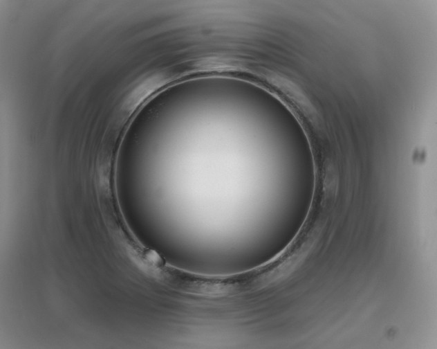 X0000096971273200802081244