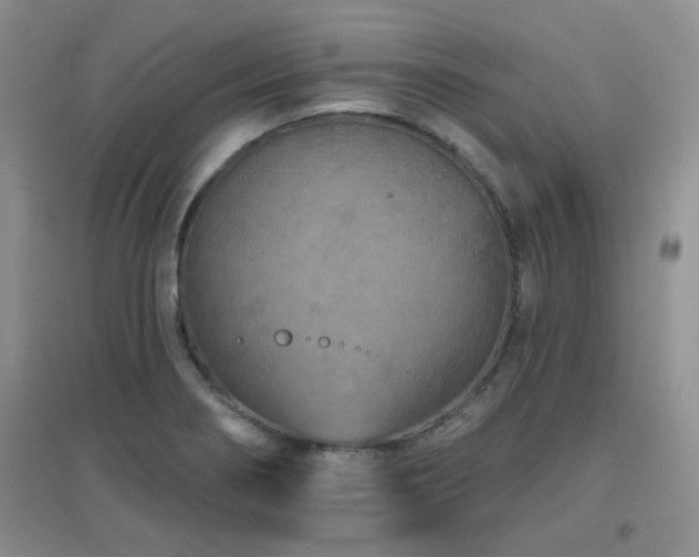 X0000096971274200802081244