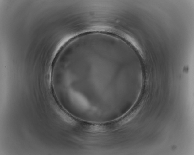 X0000096971275200802081244