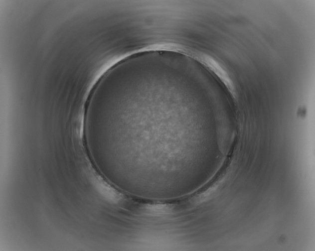 X0000096971276200802081244