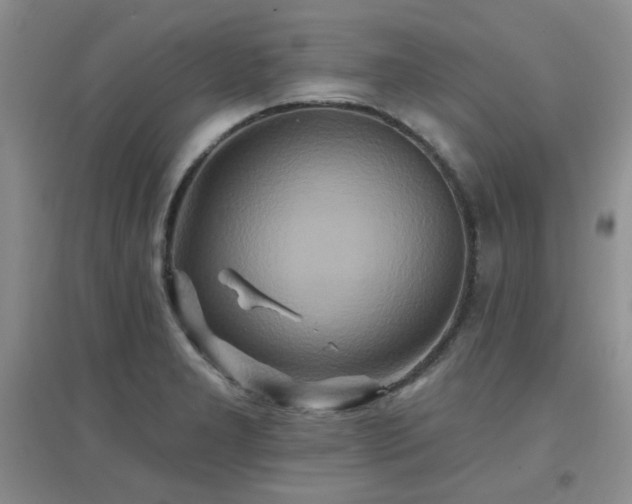 X0000096971277200802081244