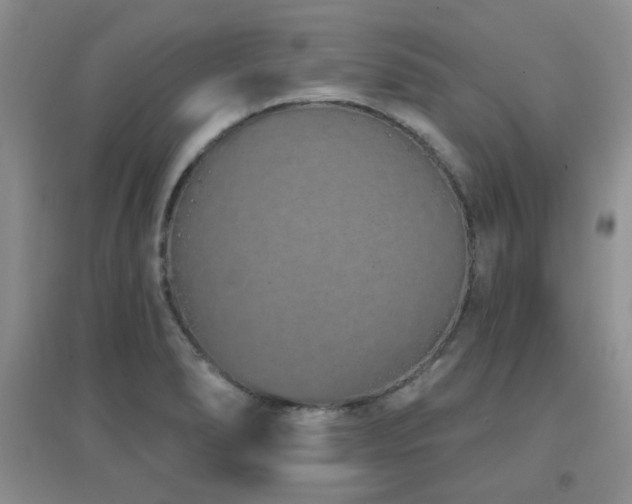 X0000096971278200802081244