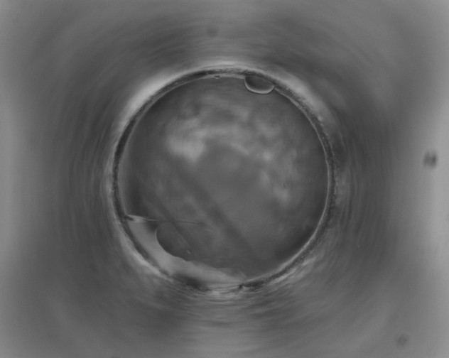 X0000096971279200802081244
