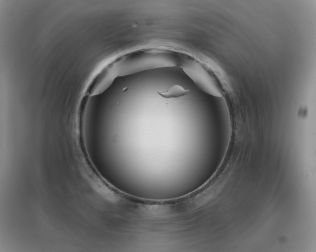 X0000096971280200802081244