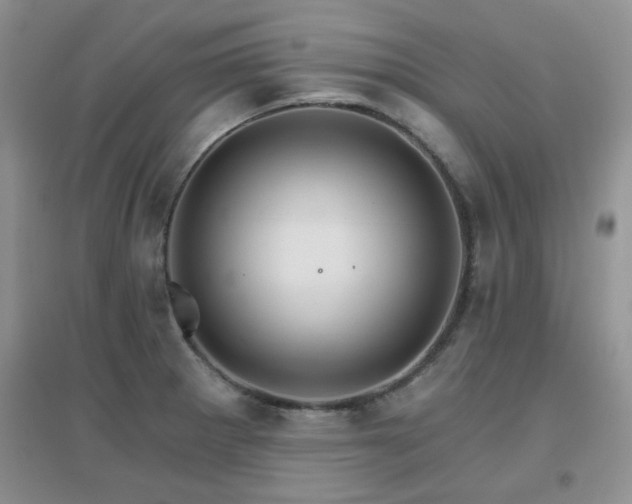 X0000096971281200802081244