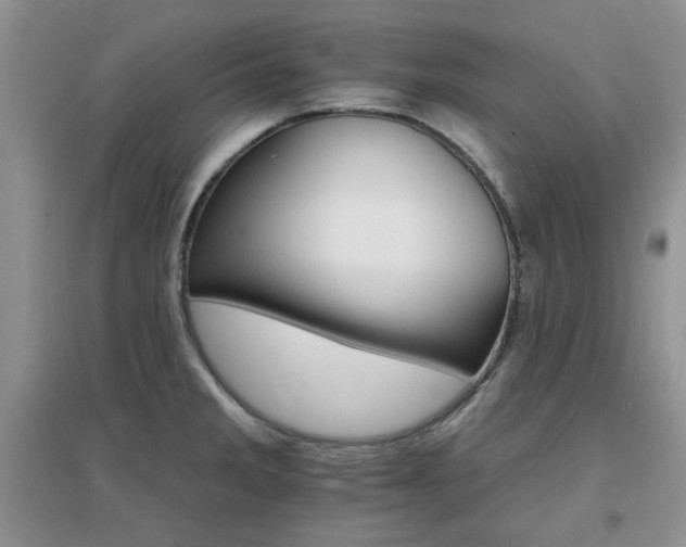 X0000096971285200802081244