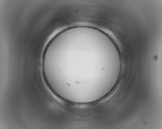 X0000096971286200802081244