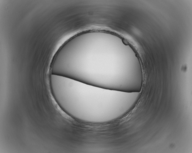 X0000096971287200802081244