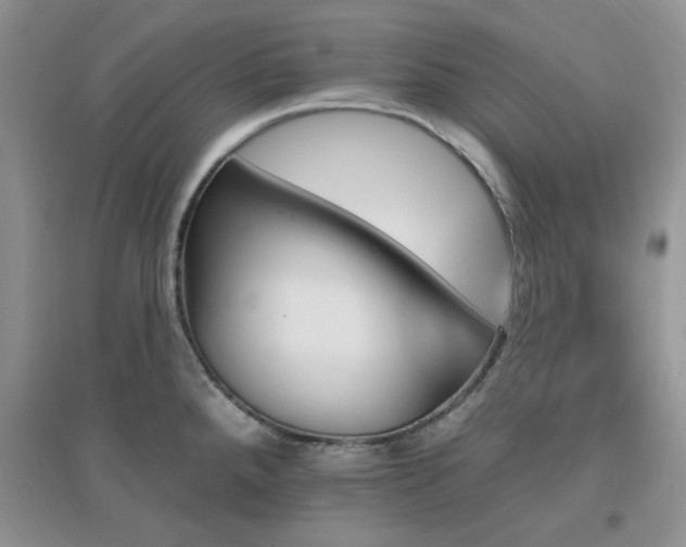 X0000096971288200802081244
