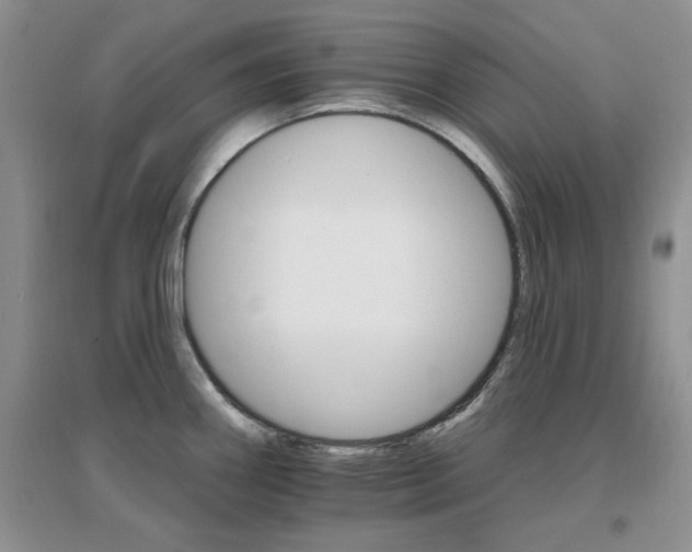 X0000096971290200802081244