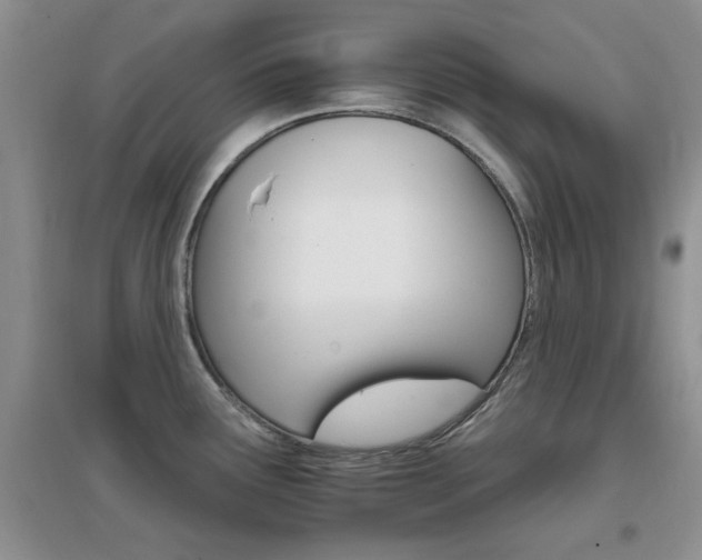 X0000096971291200802081244