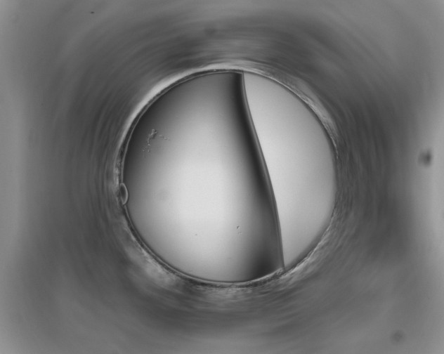 X0000096971292200802081244