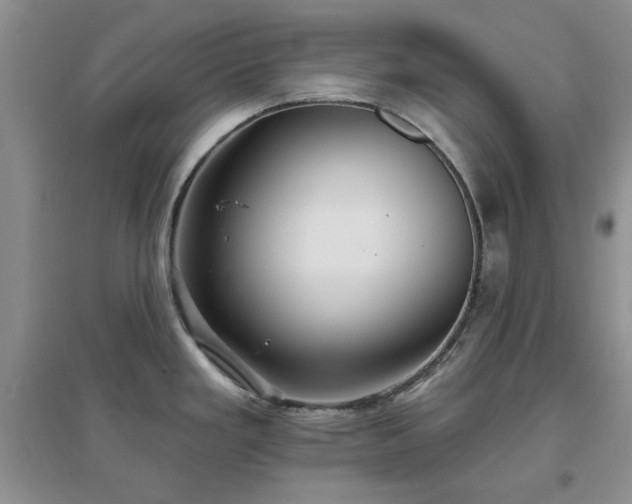 X0000096971293200802081244
