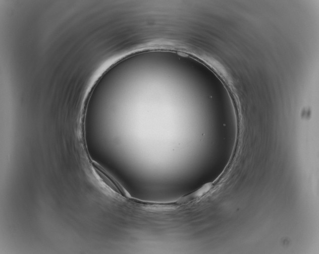 X0000096971296200802081244