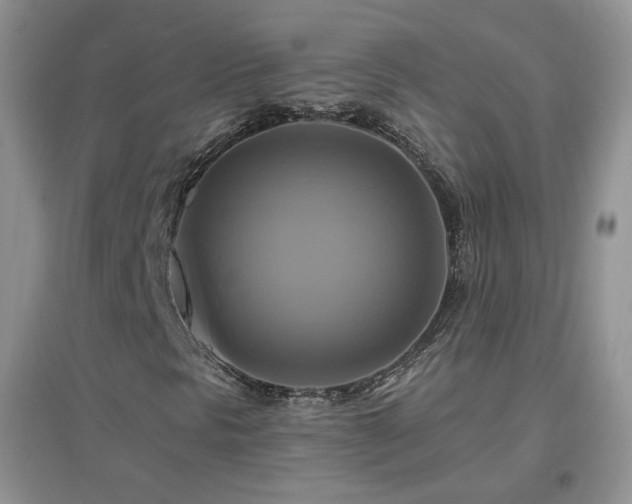X0000096971297200802081243