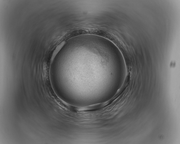 X0000096971298200802081243