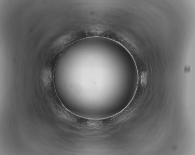 X0000096971299200802081243