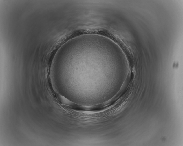 X0000096971300200802081243