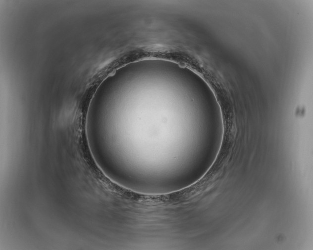 X0000096971301200802081243