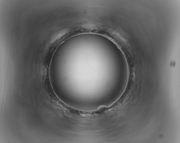X0000096971302200802081243