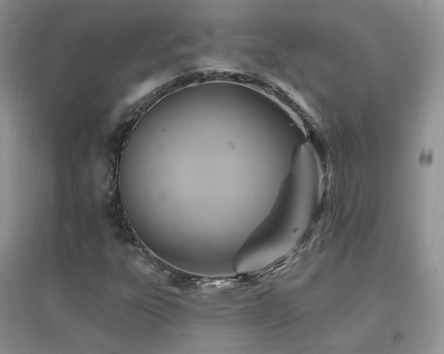 X0000096971303200802081243