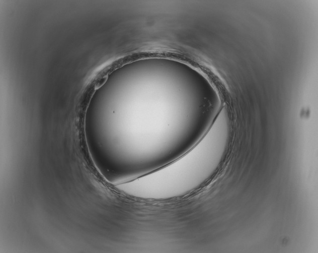 X0000096971304200802081243