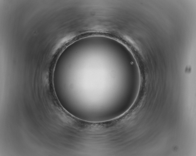 X0000096971307200802081243