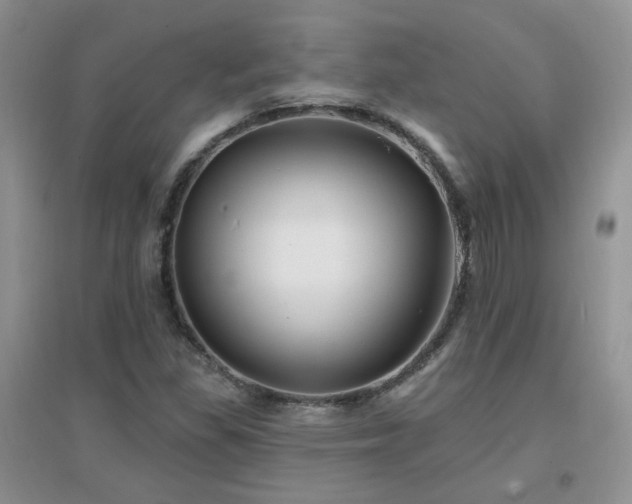 X0000096971309200802081243
