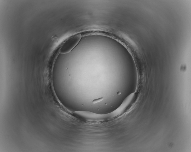 X0000096971310200802081243