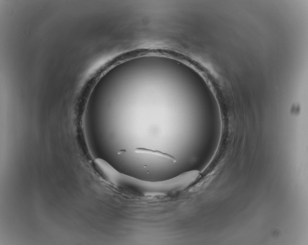 X0000096971311200802081243