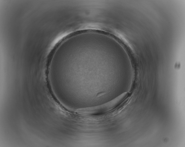 X0000096971312200802081243
