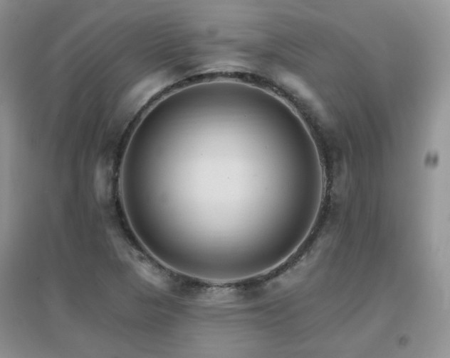 X0000096971313200802081243