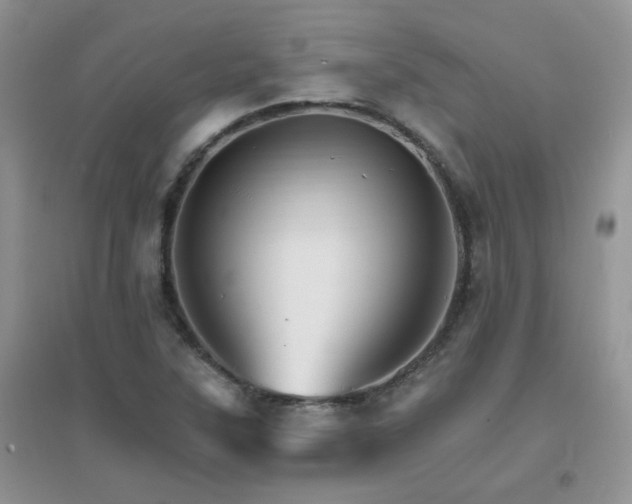 X0000096971315200802081243