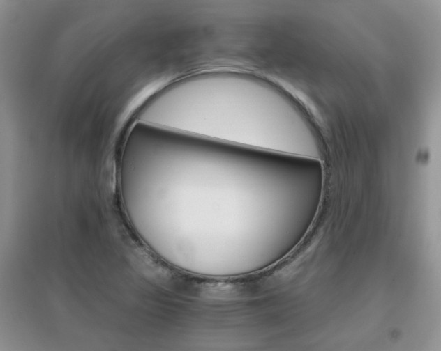X0000096971317200802081243