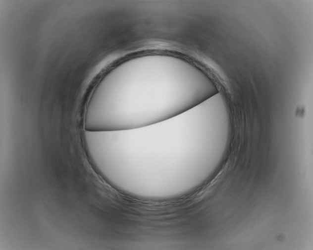 X0000096971318200802081243