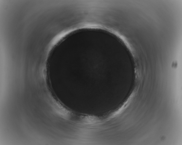 X0000096971319200802081243