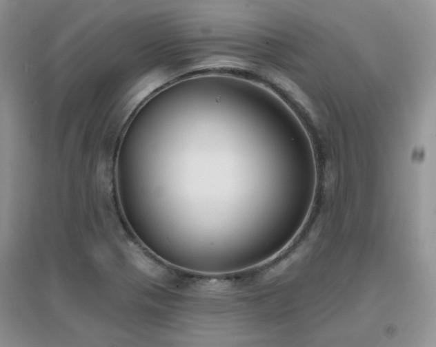 X0000096971321200802081243