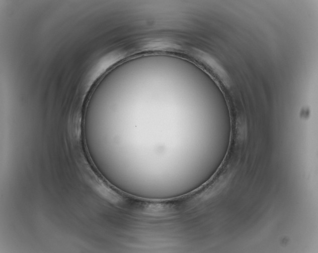 X0000096971322200802081243