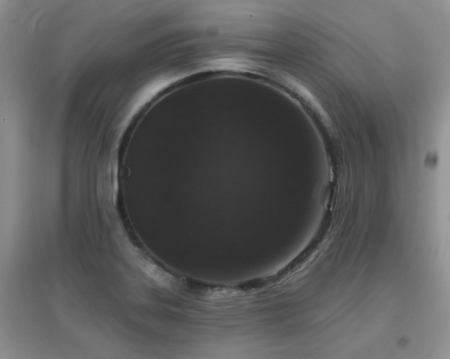 X0000096971323200802081243
