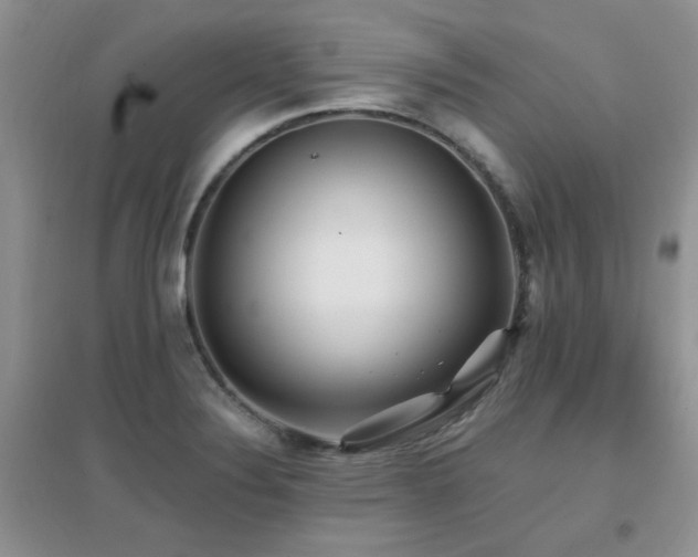 X0000096971324200802081243