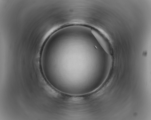 X0000096971325200802081243