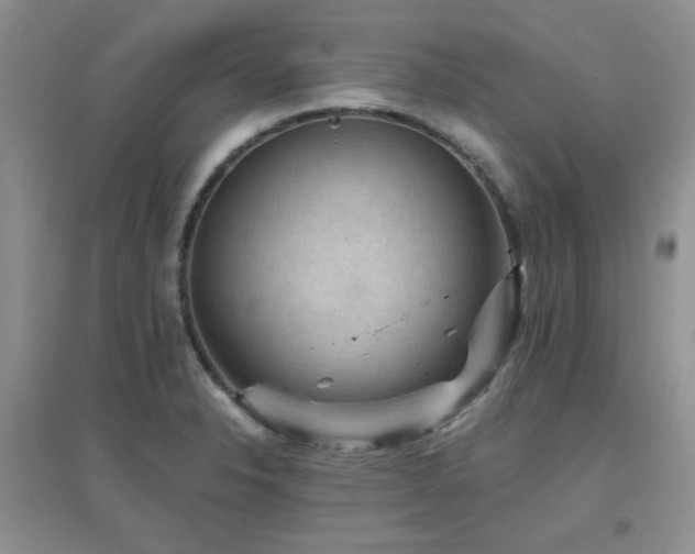 X0000096971326200802081243